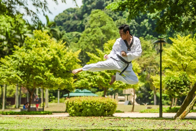Taekwondo discipline